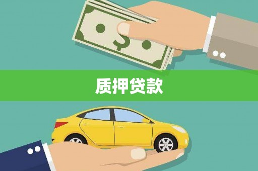 双塔质押贷款