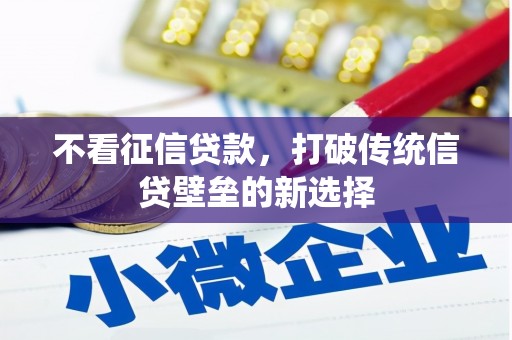 双塔不看征信贷款，打破传统信贷壁垒的新选择