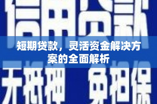 双塔短期贷款，灵活资金解决方案的全面解析