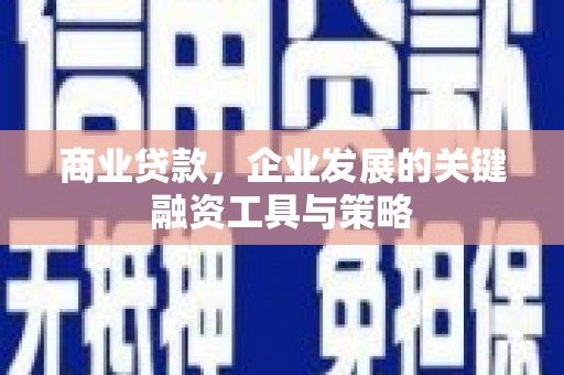 双塔商业贷款，企业发展的关键融资工具与策略