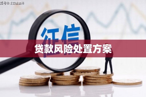 双塔贷款风险处置方案