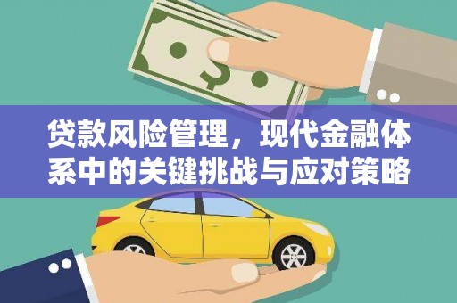 双塔贷款风险管理，现代金融体系中的关键挑战与应对策略
