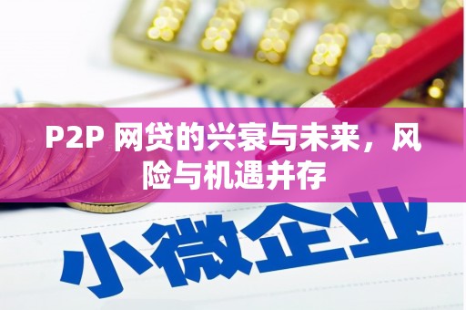 双塔P2P 网贷的兴衰与未来，风险与机遇并存