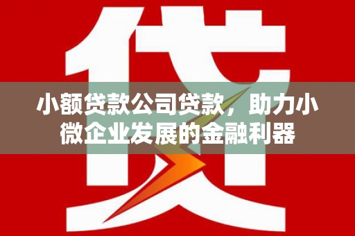 双塔小额贷款公司贷款，助力小微企业发展的金融利器