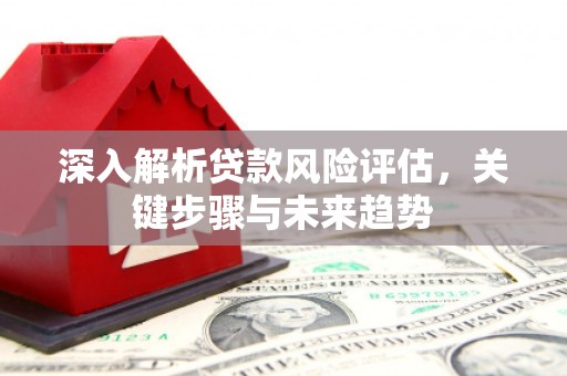 双塔深入解析贷款风险评估，关键步骤与未来趋势