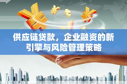 双塔供应链贷款，企业融资的新引擎与风险管理策略