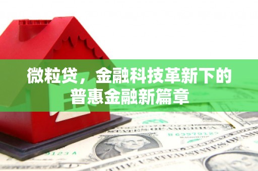双塔微粒贷，金融科技革新下的普惠金融新篇章