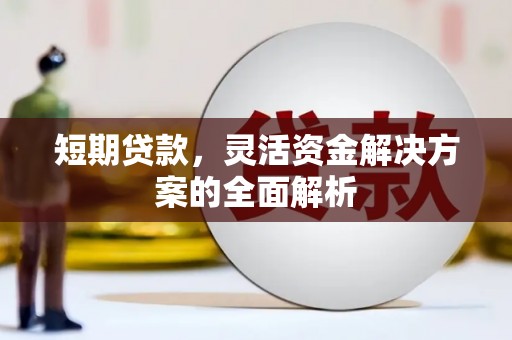 双塔短期贷款，灵活资金解决方案的全面解析