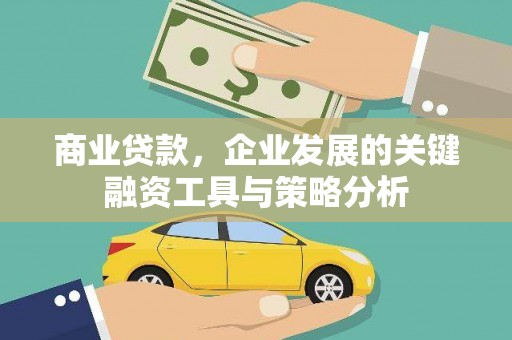 双塔商业贷款，企业发展的关键融资工具与策略分析