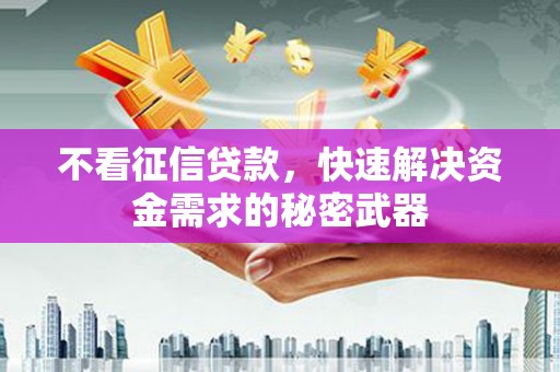 双塔不看征信贷款，快速解决资金需求的秘密武器