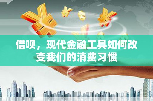 双塔借呗，现代金融工具如何改变我们的消费习惯