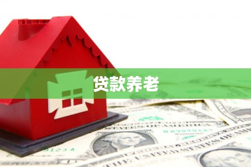 双塔贷款养老
