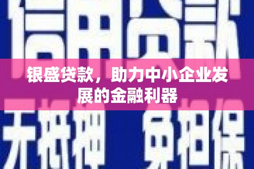 双塔银盛贷款，助力中小企业发展的金融利器