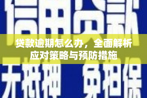 双塔贷款逾期怎么办，全面解析应对策略与预防措施