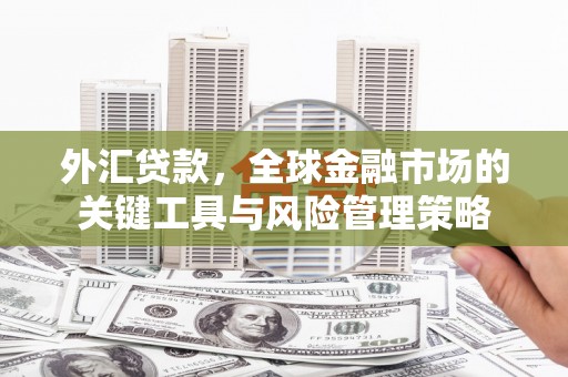 双塔外汇贷款，全球金融市场的关键工具与风险管理策略