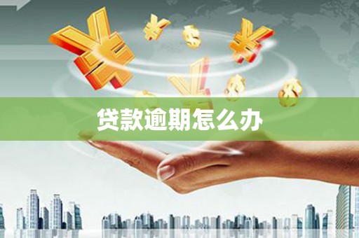 双塔贷款逾期怎么办