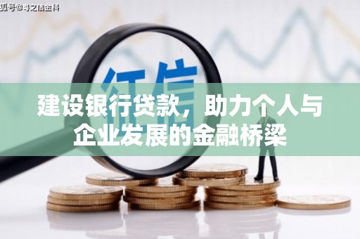 双塔建设银行贷款，助力个人与企业发展的金融桥梁
