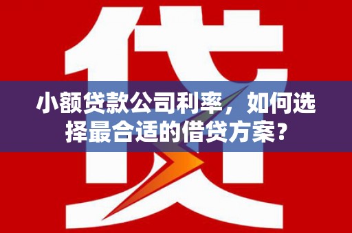 双塔小额贷款公司利率，如何选择最合适的借贷方案？