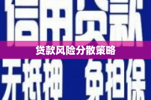 双塔贷款风险分散策略
