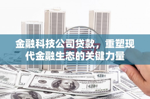 双塔金融科技公司贷款，重塑现代金融生态的关键力量