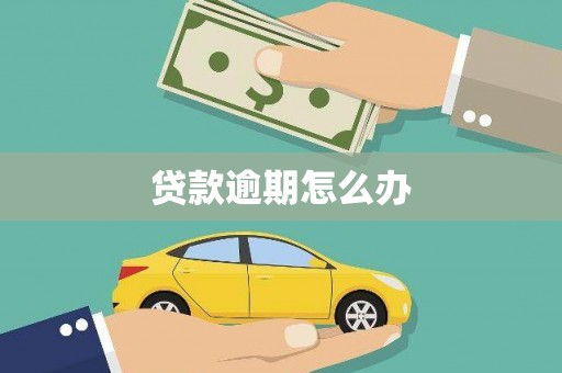 双塔贷款逾期怎么办