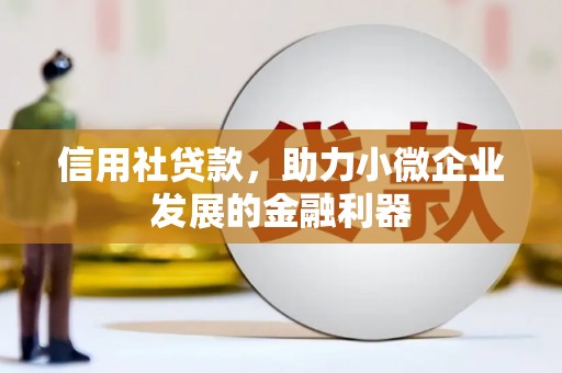 双塔信用社贷款，助力小微企业发展的金融利器