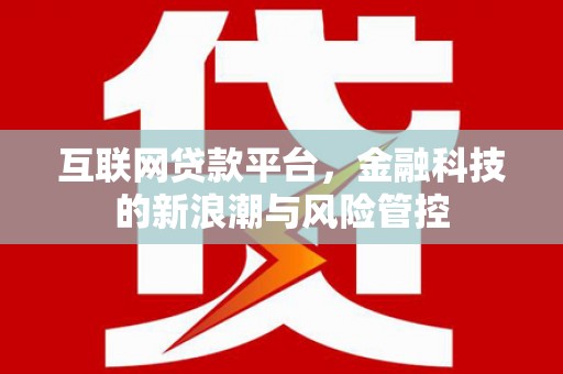 双塔互联网贷款平台，金融科技的新浪潮与风险管控