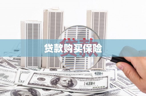 双塔贷款购买保险