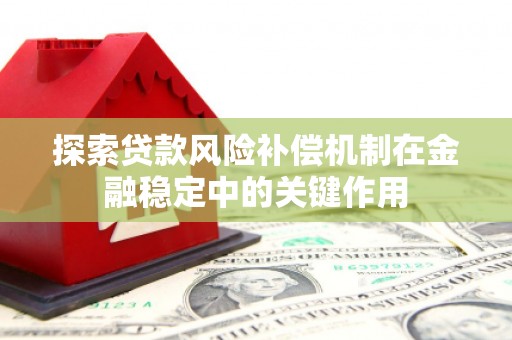 双塔探索贷款风险补偿机制在金融稳定中的关键作用