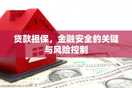 双塔贷款担保，金融安全的关键与风险控制
