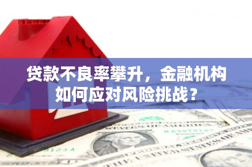 双塔贷款不良率攀升，金融机构如何应对风险挑战？