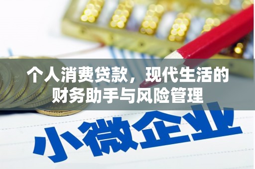 双塔个人消费贷款，现代生活的财务助手与风险管理