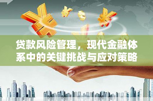 双塔贷款风险管理，现代金融体系中的关键挑战与应对策略