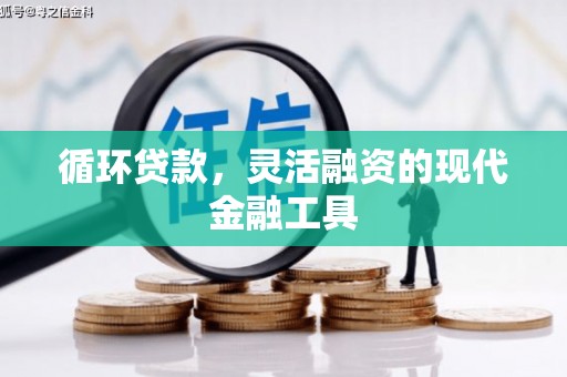 双塔循环贷款，灵活融资的现代金融工具