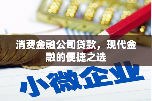 双塔消费金融公司贷款，现代金融的便捷之选