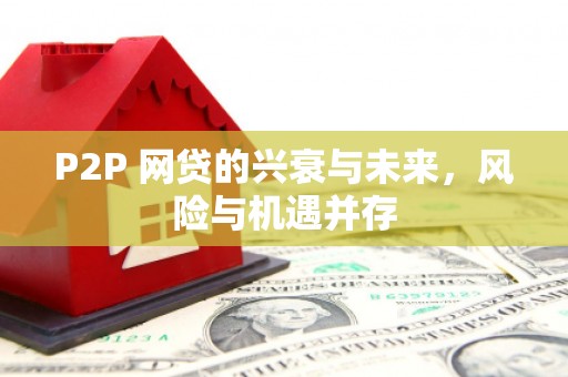 双塔P2P 网贷的兴衰与未来，风险与机遇并存