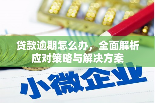 双塔贷款逾期怎么办，全面解析应对策略与解决方案